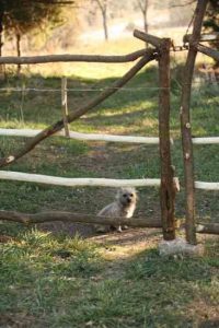 Projects for the Farm Image
